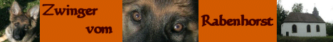 oudduitse herder kennel vom Rabenhorst